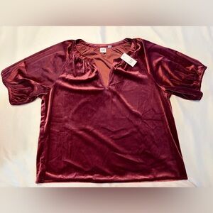 GAP Velvet Blouse Womens Size Small NWT
